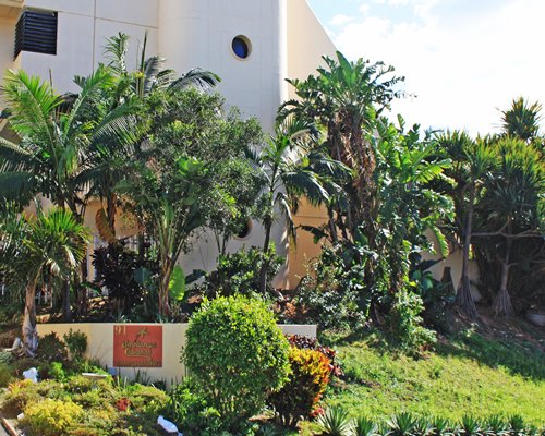 Umhlanga Cabanas resort surrounded by palm trees.