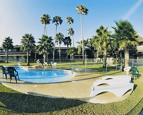 An outdoor swimming pool with patio chairs and palm trees.