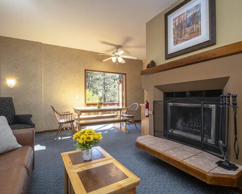 An open plan living and kitchen area with a pull out sofa.