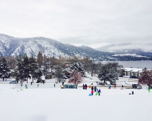 VIEW OF RESORT UNITS AND PINE TREES COVERED IN SNOW.
