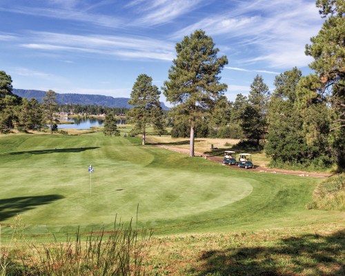 GOLF COURSE WITH TWO GOLF CARTS ALONGSIDE SURROUNDED BY WOODED AREA.