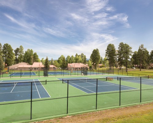 OUTDOOR RECREATION AREA WITH MULTIPLE TENNIS COURTS SURROUNDED BY WOODED AREA.