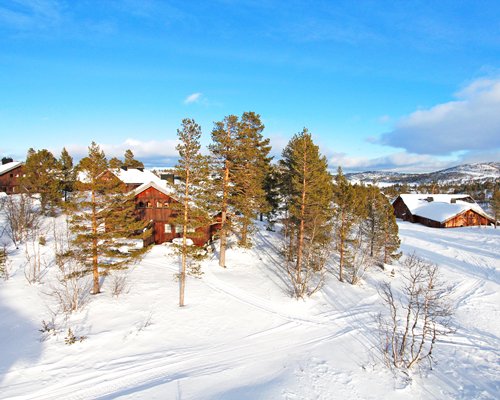 Club Hallbjønn Telemark