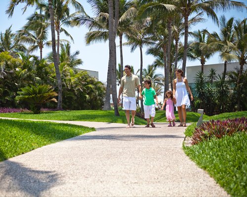 A family walking on a landscaped pathway.