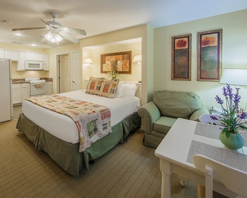 A large alcove bed within a studio living area.