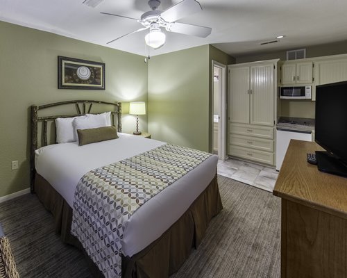 A bedroom with television and kitchenette area.