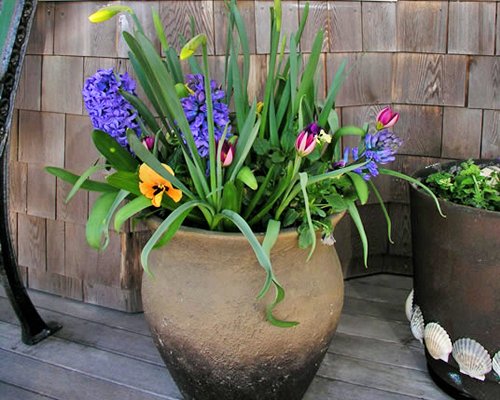 A potted plant with assorted flowers.