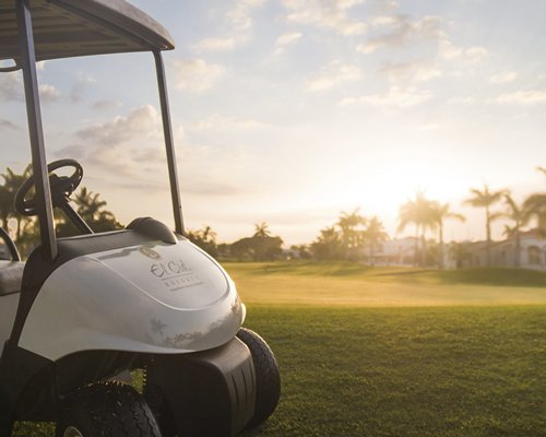Golf cart on fairway.