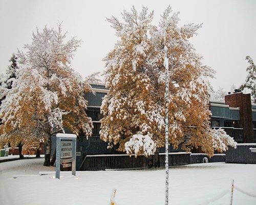 View of Shadow Mountain Lodge covered with snow during winter.