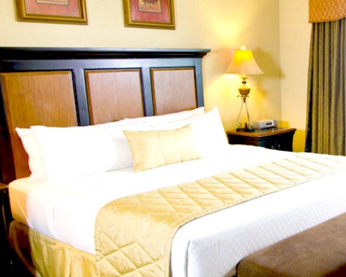 A WELL FURNISHED BEDROOM WITH QUEEN BED.