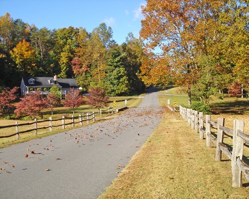 Scenic view of a pathway during fall.