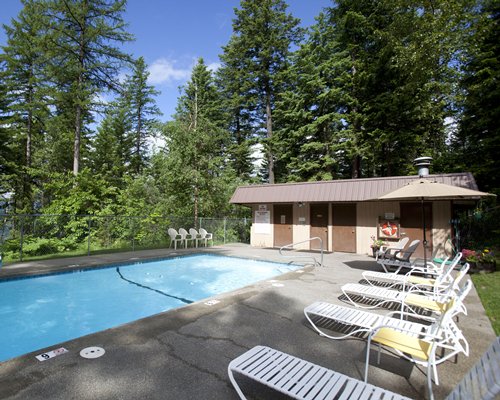 An outdoor swimming pool with chaise lounge chairs surrounded by trees.