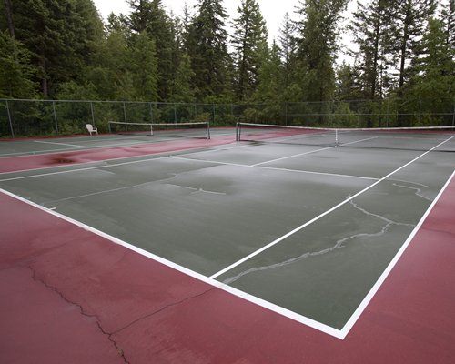 An outdoor tennis court surrounded by wooded area.