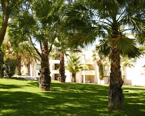 An exterior view of resort through shaded tree area.