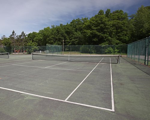 An outdoor tennis court surrounded by wooded area.