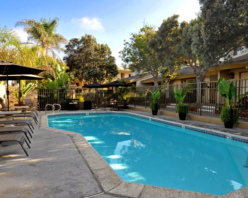 An outdoor swimming pool with chaise lounge chairs and sunshades alongside trees.