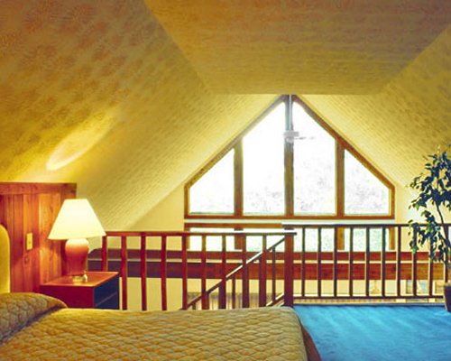 A well furnished bedroom with lamp.