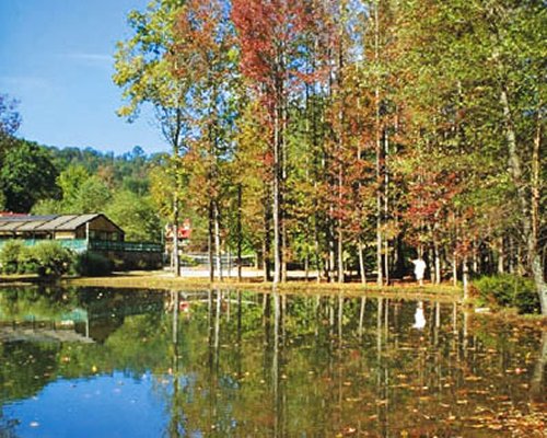 A lake surrounded by wooded area at fall.