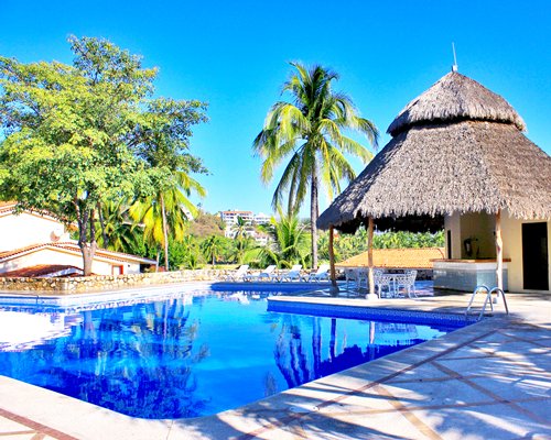 Outdoor swimming pool with chaise lounge chairs thatched sunshade and patio furniture.