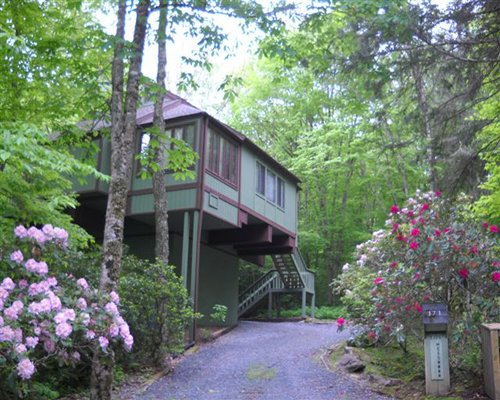 Mossy Creek on Sugar Mountain