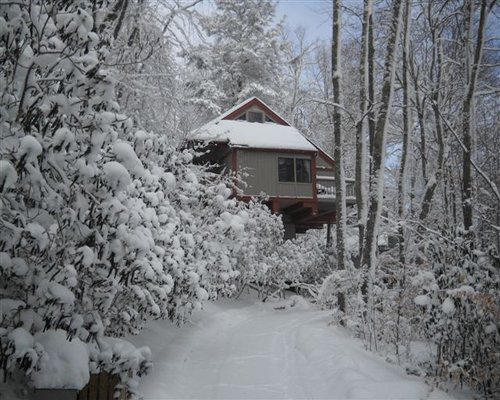 Mossy Creek on Sugar Mountain