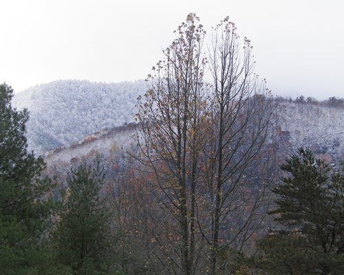 View of wooded area alongside mountains at fall.