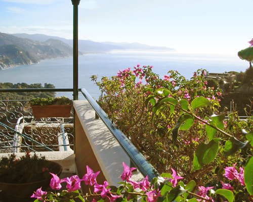 View of the ocean from a landscaped balcony.