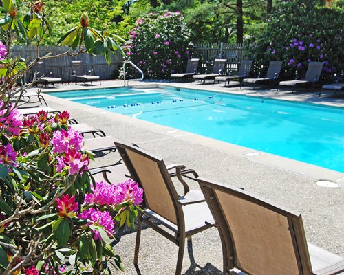 An outdoor swimming pool with chaise lounge chairs surrounded by wooded area.