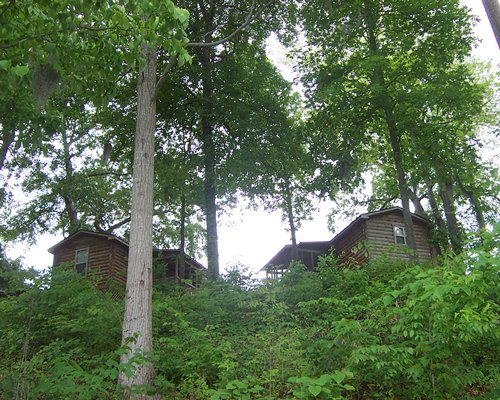Two villas surrounded by trees.