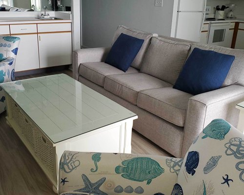 An open plan living dining and kitchen area with an outside view.