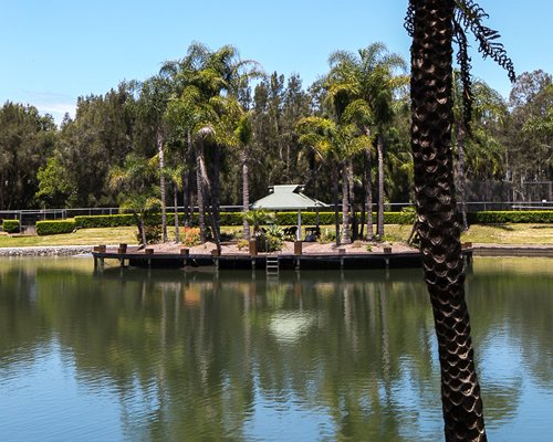 A view of a lakeside dock.