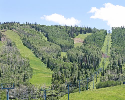 A wooded area.