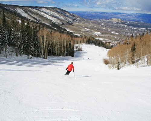 A man skiing in the snow surrounded by wooded area.