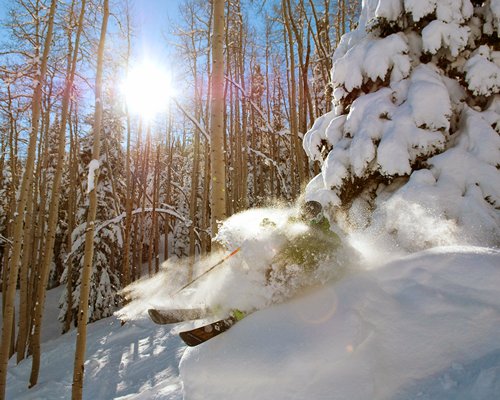 A view of the wooded area during winter.