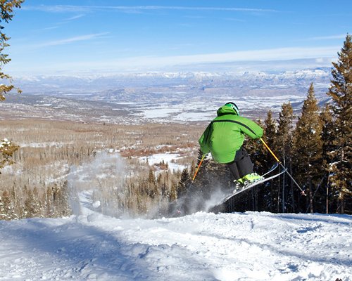 A man downhill skiing at a wooded area.