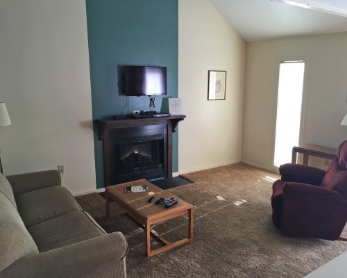 A WELL FURNISHED LIVING ROOM WITH A TELEVISION AND A FIREPLACE.