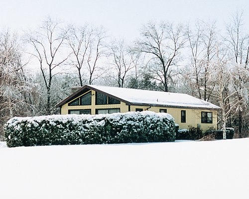 Exterior view of a unit with Sciota Village at Big Valley during winter alongside wooded area.