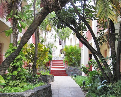 A pathway surrounded by the resort with trees.