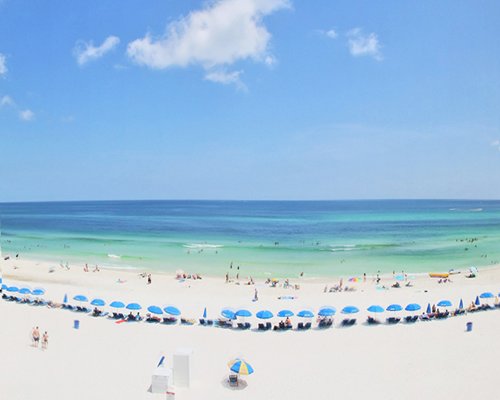 View of beach and ocean with chaise lounge chairs and sunshades.
