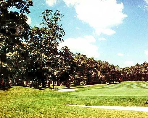 Golf course surrounded by wooded area.