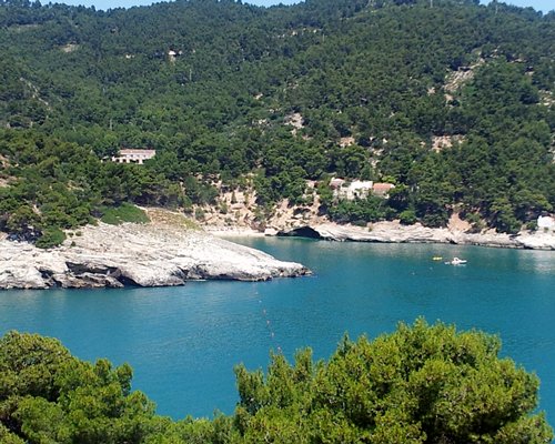 View of the pebbly beach surrounded by wooded area.