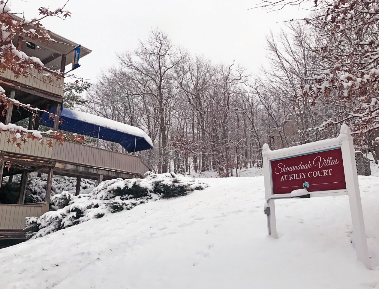 Massanutten's Shenandoah Villas