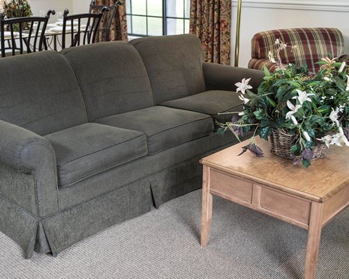 A well furnished living room with double pull out sofa.