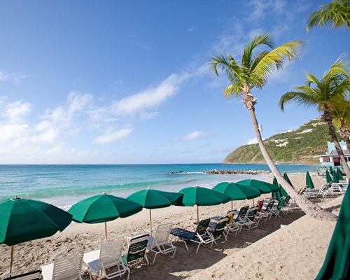 Beach view of chaise lounge chairs and sunshades alongside the ocean.