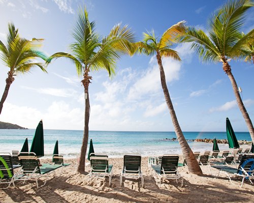 View of the beach with chaise lounge chairs sunshades and palm trees.