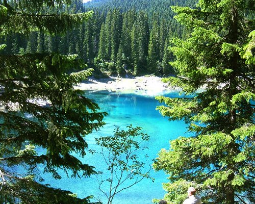 A lake surrounded by wooded area.