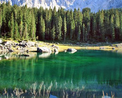 A scenic view of the lake surrounded by pine trees and mountain.
