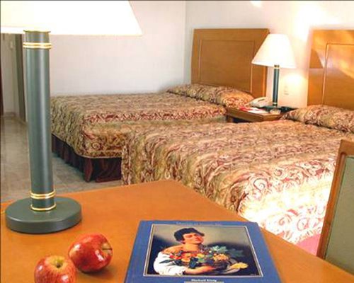 A well furnished bedroom with two beds.