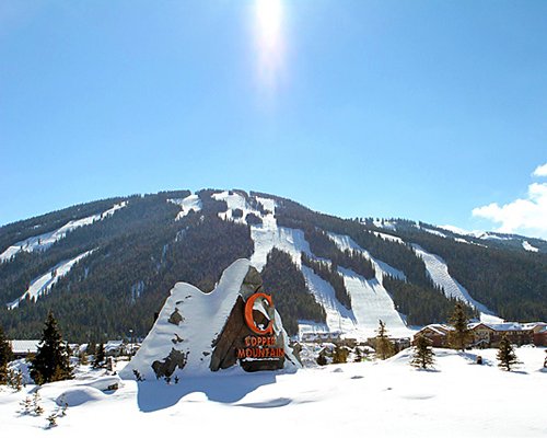 View of wooded area and mountains covered by snow with a signboard.