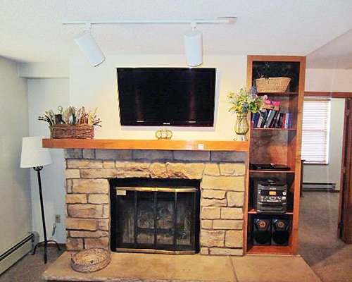 A well furnished living room with a television and fireplace.